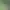 https://shared.akamai.steamstatic.com/store_item_assets/steam/apps/2227630/header.jpg?t=1720787339