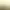 Exalted Seracthon.