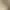 https://shared.akamai.steamstatic.com/store_item_assets/steam/apps/2238450/header.jpg?t=1741126565