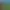 Orc Covenant: Gay Bara Orc Visual Novel.