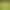 https://shared.akamai.steamstatic.com/store_item_assets/steam/apps/2245330/header.jpg?t=1703640958
