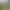 https://shared.akamai.steamstatic.com/store_item_assets/steam/apps/2248890/header.jpg?t=1745955213