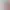 https://shared.akamai.steamstatic.com/store_item_assets/steam/apps/2256450/header.jpg?t=1748721215