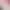 https://shared.akamai.steamstatic.com/store_item_assets/steam/apps/2258010/header.jpg?t=1728353604