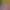https://shared.akamai.steamstatic.com/store_item_assets/steam/apps/2260980/header.jpg?t=1719598760
