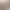 University Life Visual Novel.