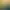 PixelJunk™ Nom Nom Galaxy.