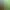 https://shared.akamai.steamstatic.com/store_item_assets/steam/apps/2270210/header.jpg?t=1738836963
