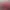 https://shared.akamai.steamstatic.com/store_item_assets/steam/apps/2276060/header.jpg?t=1675068681