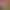 https://shared.akamai.steamstatic.com/store_item_assets/steam/apps/2284200/header.jpg?t=1719243413