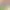 https://shared.akamai.steamstatic.com/store_item_assets/steam/apps/2285330/header.jpg?t=1693965477
