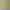 https://shared.akamai.steamstatic.com/store_item_assets/steam/apps/2286680/header.jpg?t=1747951045
