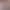 https://shared.akamai.steamstatic.com/store_item_assets/steam/apps/2288080/header.jpg?t=1748935085