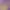 https://shared.akamai.steamstatic.com/store_item_assets/steam/apps/2295790/header.jpg?t=1712916274