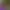 https://shared.akamai.steamstatic.com/store_item_assets/steam/apps/2301250/header.jpg?t=1698402473