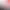 https://shared.akamai.steamstatic.com/store_item_assets/steam/apps/2305520/header.jpg?t=1729839195