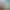 https://shared.akamai.steamstatic.com/store_item_assets/steam/apps/2313830/header.jpg?t=1748411009
