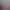 https://shared.akamai.steamstatic.com/store_item_assets/steam/apps/2316030/header.jpg?t=1744131756