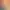 https://shared.akamai.steamstatic.com/store_item_assets/steam/apps/2316240/header.jpg?t=1745586915