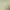 https://shared.akamai.steamstatic.com/store_item_assets/steam/apps/2317330/header.jpg?t=1748023044
