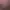 https://shared.akamai.steamstatic.com/store_item_assets/steam/apps/2318430/header.jpg?t=1730331354