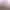 https://shared.akamai.steamstatic.com/store_item_assets/steam/apps/2319260/header.jpg?t=1739898465