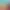 https://shared.akamai.steamstatic.com/store_item_assets/steam/apps/2322380/header.jpg?t=1728029958