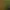 https://shared.akamai.steamstatic.com/store_item_assets/steam/apps/2327780/8b69af7c9be308ff397c76303e8e53191964b13b/header_russian.jpg?t=1748245009