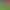 https://shared.akamai.steamstatic.com/store_item_assets/steam/apps/2329660/header.jpg?t=1692247420