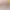 https://shared.akamai.steamstatic.com/store_item_assets/steam/apps/2331470/header.jpg?t=1709679489