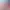 https://shared.akamai.steamstatic.com/store_item_assets/steam/apps/2335050/header.jpg?t=1728616972