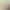 https://shared.akamai.steamstatic.com/store_item_assets/steam/apps/2341800/header.jpg?t=1704239969