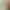 https://shared.akamai.steamstatic.com/store_item_assets/steam/apps/2343890/header.jpg?t=1718247157
