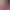 https://shared.akamai.steamstatic.com/store_item_assets/steam/apps/2347740/header.jpg?t=1730127201