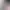https://shared.akamai.steamstatic.com/store_item_assets/steam/apps/2348290/header.jpg?t=1679468503