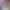 https://shared.akamai.steamstatic.com/store_item_assets/steam/apps/2350290/header.jpg?t=1687228466