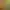 https://shared.akamai.steamstatic.com/store_item_assets/steam/apps/2353900/header.jpg?t=1745258479