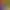 https://shared.akamai.steamstatic.com/store_item_assets/steam/apps/2364960/header.jpg?t=1718665217
