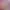 https://shared.akamai.steamstatic.com/store_item_assets/steam/apps/2367480/header.jpg?t=1709635762