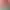 https://shared.akamai.steamstatic.com/store_item_assets/steam/apps/2367600/header.jpg?t=1730285940