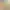 https://shared.akamai.steamstatic.com/store_item_assets/steam/apps/2369721/header.jpg?t=1680111125