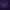 NIDUS.