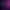 NIDUS.