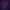 NIDUS.