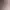 https://shared.akamai.steamstatic.com/store_item_assets/steam/apps/2373340/header.jpg?t=1739937102
