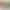 https://shared.akamai.steamstatic.com/store_item_assets/steam/apps/2377520/header.jpg?t=1720553049