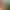 https://shared.akamai.steamstatic.com/store_item_assets/steam/apps/2383710/header.jpg?t=1741827570