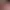 https://shared.akamai.steamstatic.com/store_item_assets/steam/apps/2385140/header.jpg?t=1739013637
