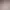 https://shared.akamai.steamstatic.com/store_item_assets/steam/apps/2395630/header.jpg?t=1725518298