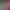 https://shared.akamai.steamstatic.com/store_item_assets/steam/apps/2396160/header.jpg?t=1725288686